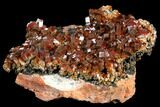 Gorgeous, Ruby-Red Vanadinite Crystal Cluster - Large Crystals #127655-1